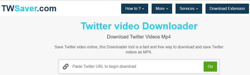 twserver video download