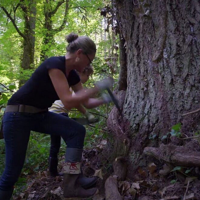 Trees, and Other Entanglements: What’s new the 2023 documentary brings for you?